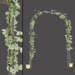 Potted Vine Arch