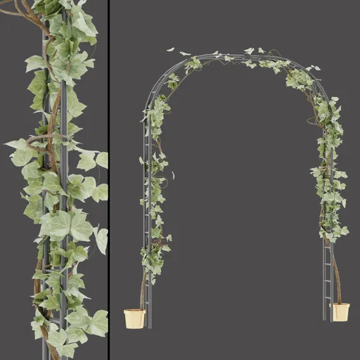 Potted Vine Arch