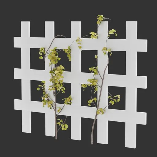 Divider Fence Climber Plant