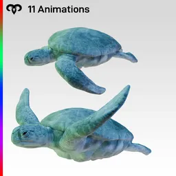 Female Turtle Animated