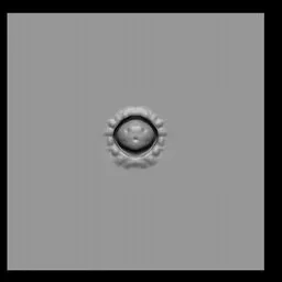 NS Sea Creature breath hole ball