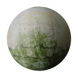 Mossy Concrete Wall Texture