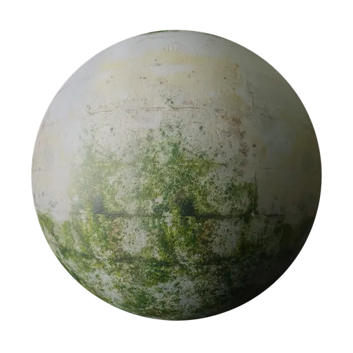 Mossy Concrete Wall Texture