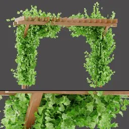 Pergola Foliage Curtain