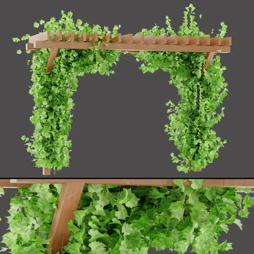 Pergola Foliage Curtain