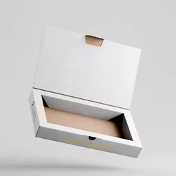 Rigged  Mailer Packaging Box