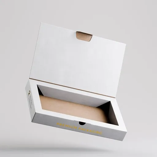 Rigged  Mailer Packaging Box
