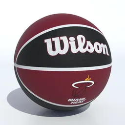 Wilson Miami Heat Basketball