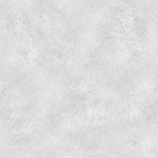 SkinTexture03 brush for detailed grainy skin effects on 3D models, ideal for anatomical sculpting in Blender.