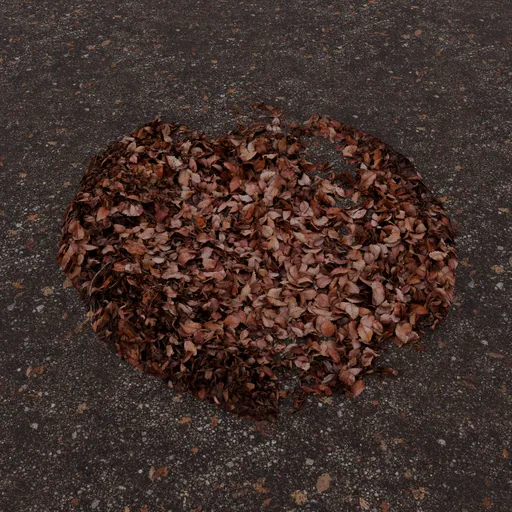 Fallen Leaves