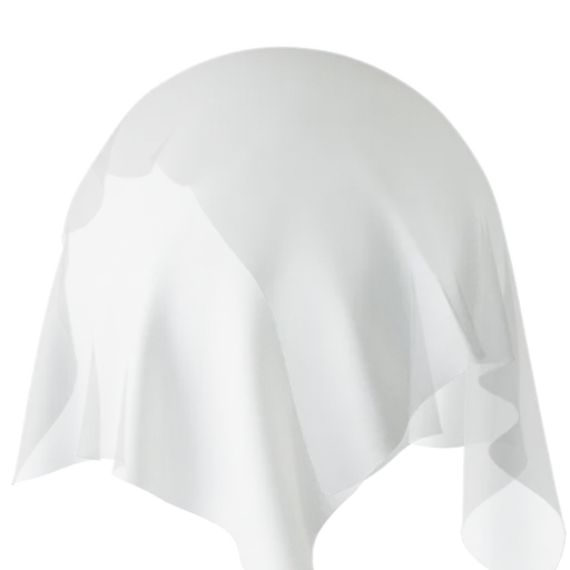 Plain White Sheer