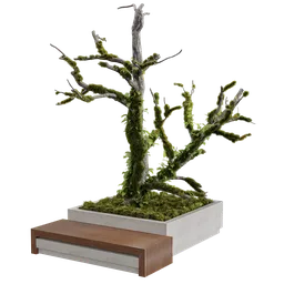 Realistic 3D model of mossy tree trunk with modern bench, created in Blender 3.6, available in .blend format.