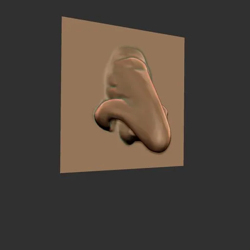 ER Nose Brush 19