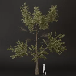 SJ-Forest Light Green Pine