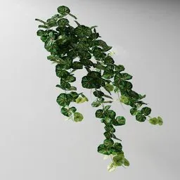 Detailed Blender 3D model of a hanging pelargonium plant with editable parts, created with the Bagapia geometry nodes.