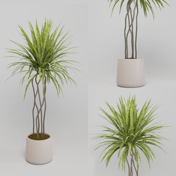"Natural Indoor Plant 3D Model with Translucent Leaves and Realistic Scale - Optimized for Blender 3D Rendering".