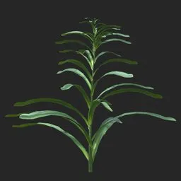 Dense Green Leafy Simple Plant