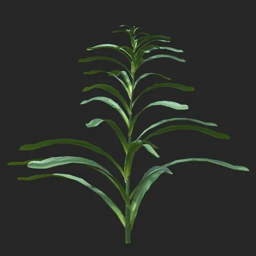 Dense Green Leafy Simple Plant