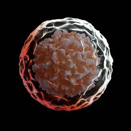Detailed 3D rendering of a stem cell highlighting nucleus and cellular membrane for Blender visualization.