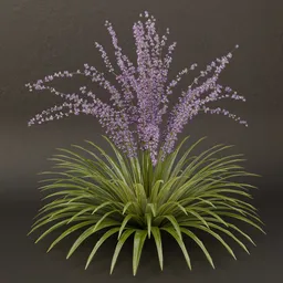 SJ-Veilwood Mist Bloom