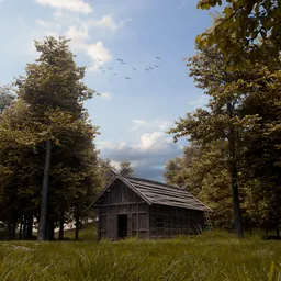 Forest Cabin Environment animation