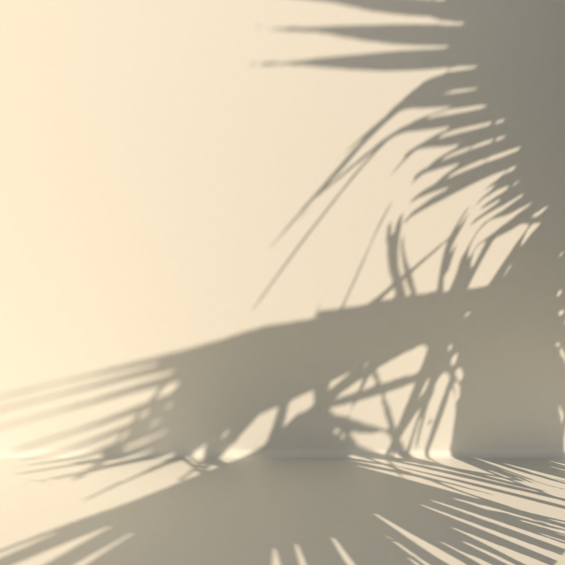 Palm Tree Gobos 2 | FREE Motion Design models | BlenderKit