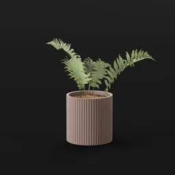 Lady Fern Small Potted