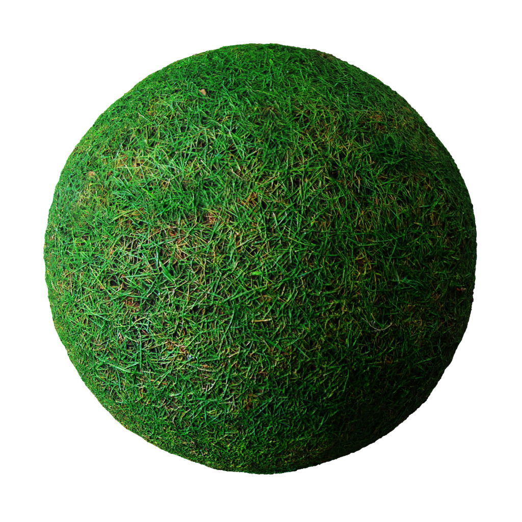 Grass FREE 3D grass materials BlenderKit