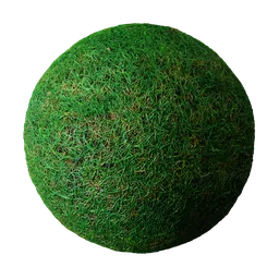 Realistic 2K PBR grass texture for 3D rendering in Blender and other software with high-detail displacement.