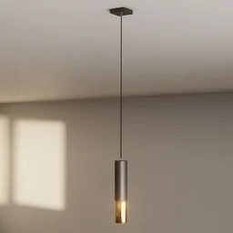 Black & Gold Pendant Light