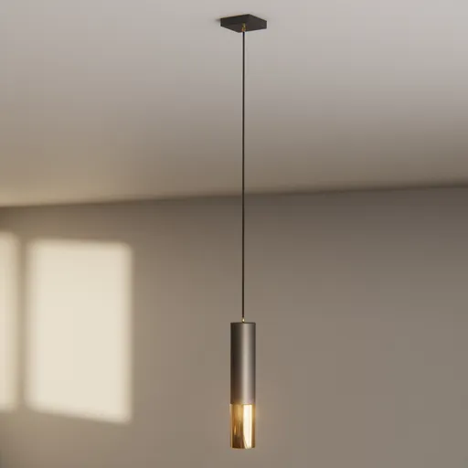 Black & Gold Pendant Light