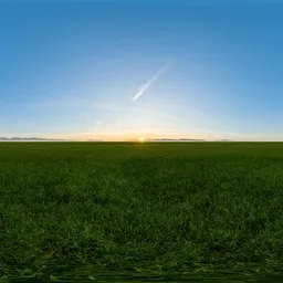 Green grass cloudy blue sky pure sky