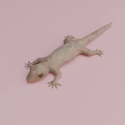 Realistic gecko 3D model with detailed texture and accurate anatomy, suitable for Blender rendering.