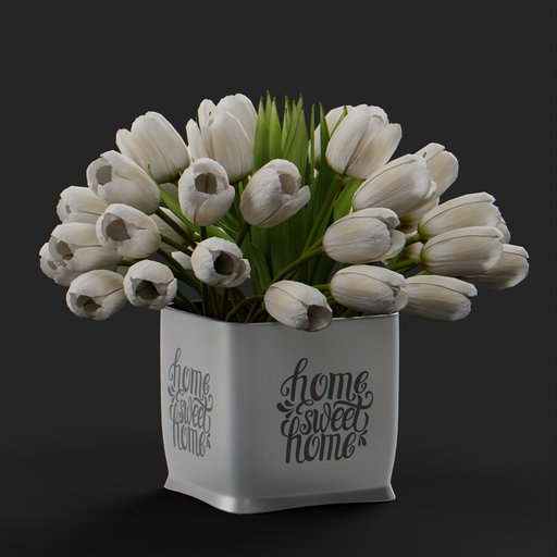 Tulip flower