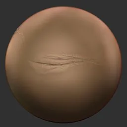 ER_Human Skin(V) 106