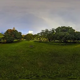 Green lawn at night