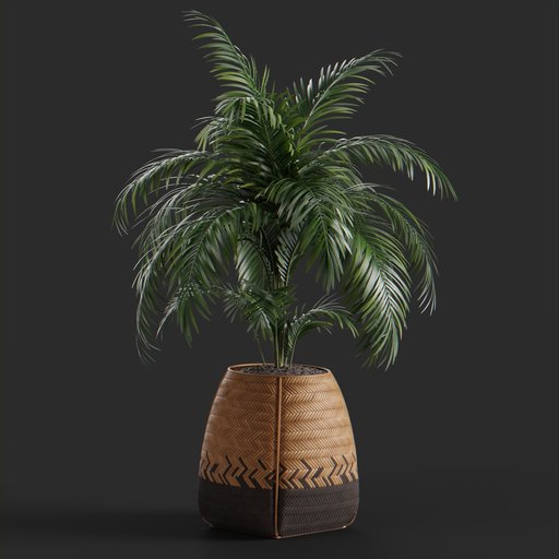 Thumbnail: Kristi tree