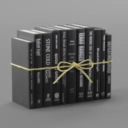 Modern Onyx & Silver Serefina