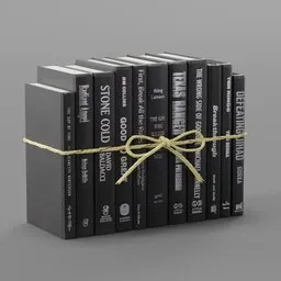 Modern Onyx & Silver Serefina