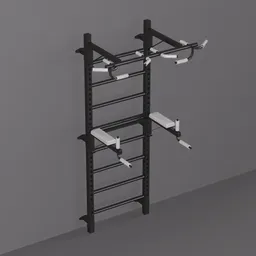 Wall-Mounted Ladder Calisthenics Station