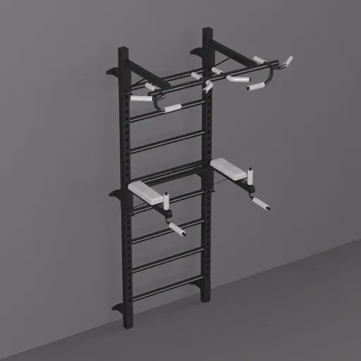 Wall-Mounted Ladder Calisthenics Station