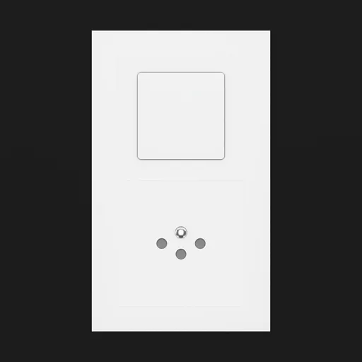 Swiss Wall Plug & Light Switch
