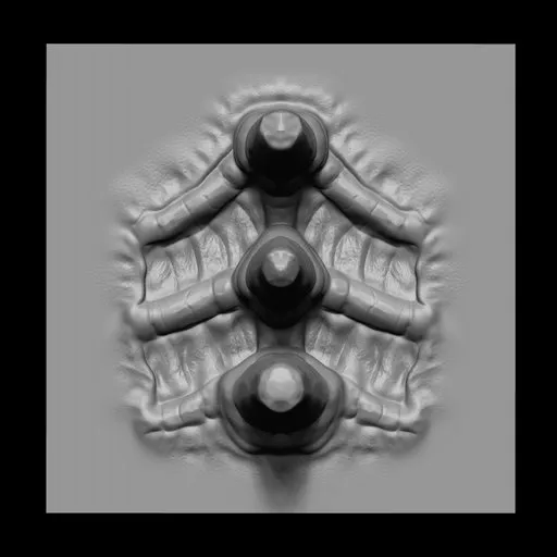 NS Monster Bone spikes