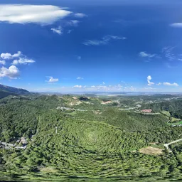 Green tree mountain cloud bluesky