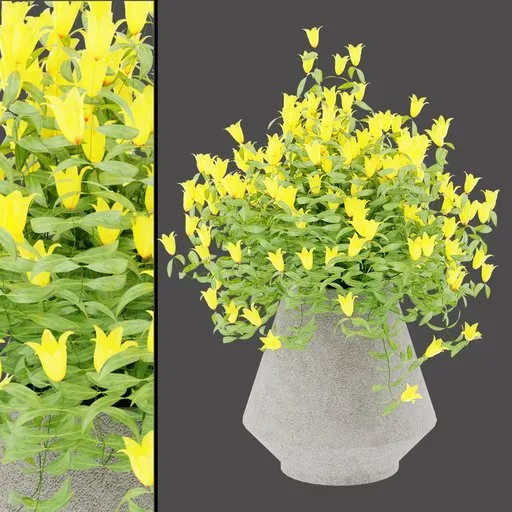 Golden Bellflower Planter