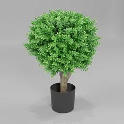 Faux Topiary in Planter