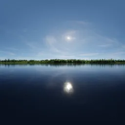 Sunny Blue Sky Day Trees