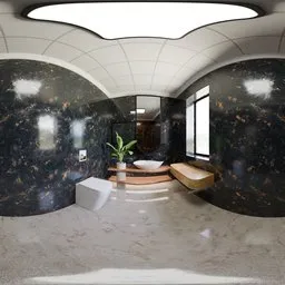 Luxury Black Marble Bathroom