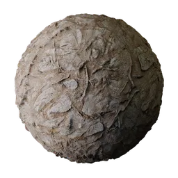 Rock & Tree Roots Ground