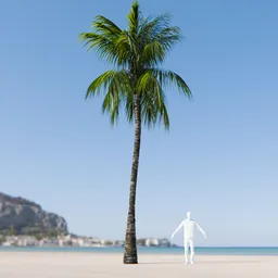 Coconut Tree Rigged and Animated